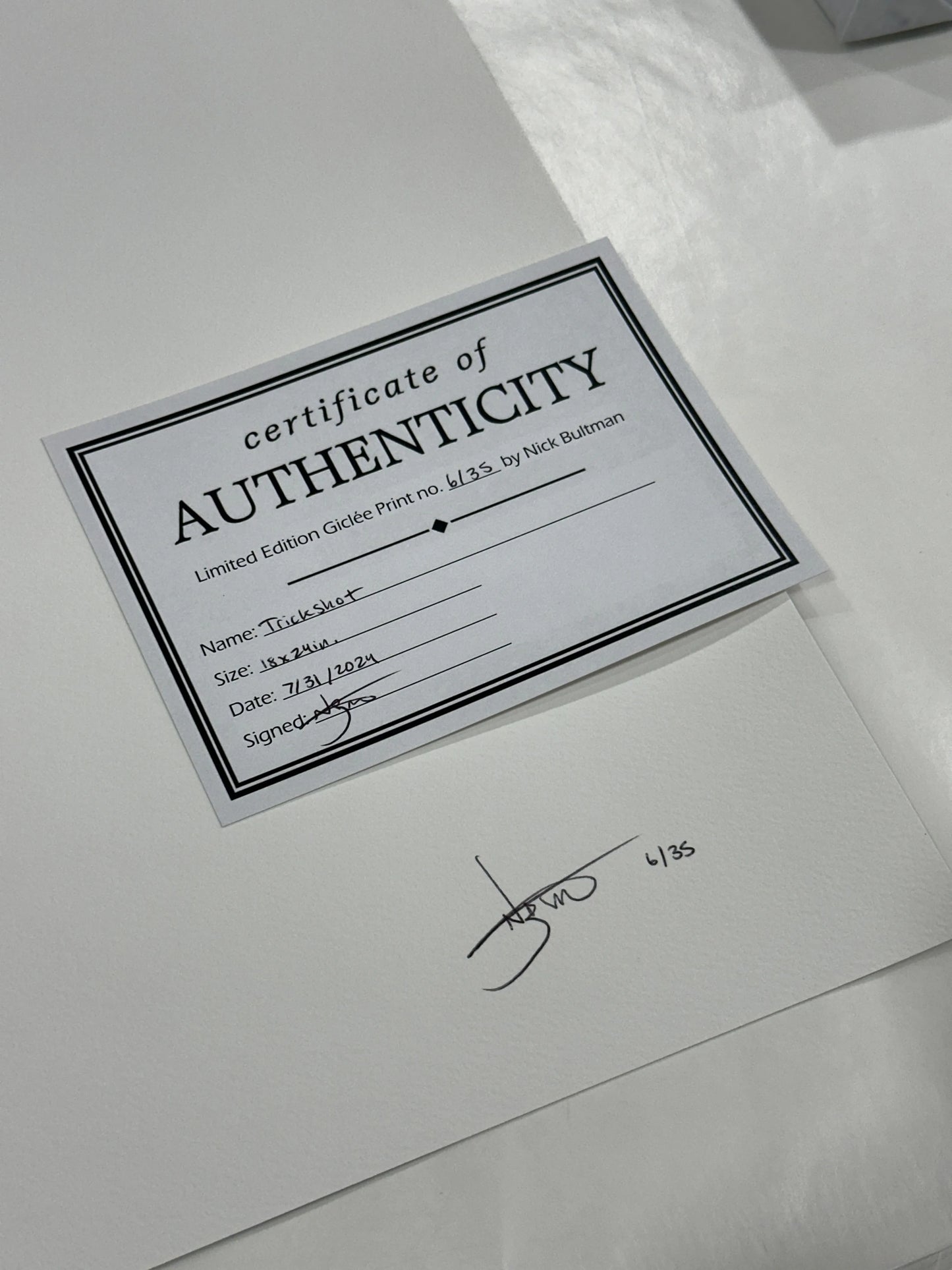 Trickshot - Art Print