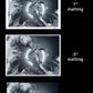 Leviathan - Art Print 30x40in. Fine Art Paper